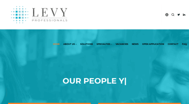 levy-professionals.com