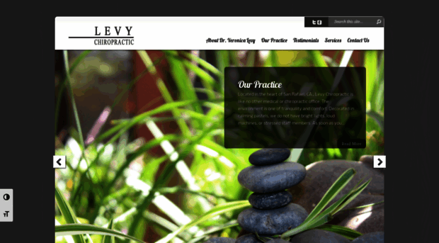 levychiro.com