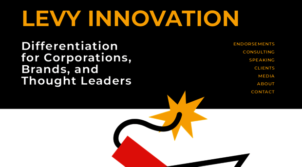 levyinnovation.com