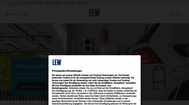 lew.de