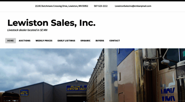 lewistonsales.com