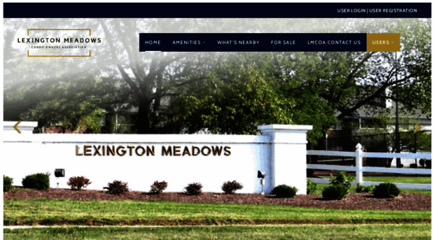 lexingtonmeadowscoa.com