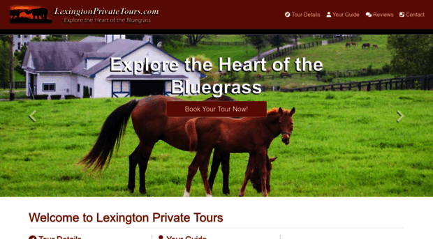 lexingtonprivatetours.com