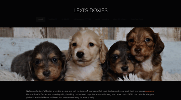 lexisdoxies.com