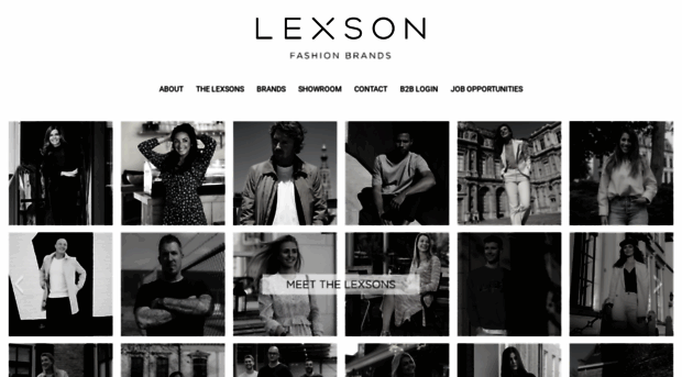 lexson.info