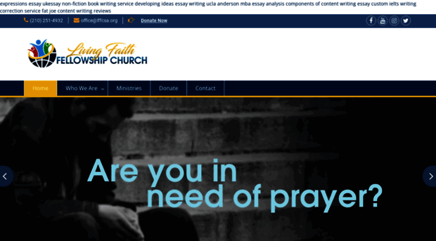 lffcsa.org
