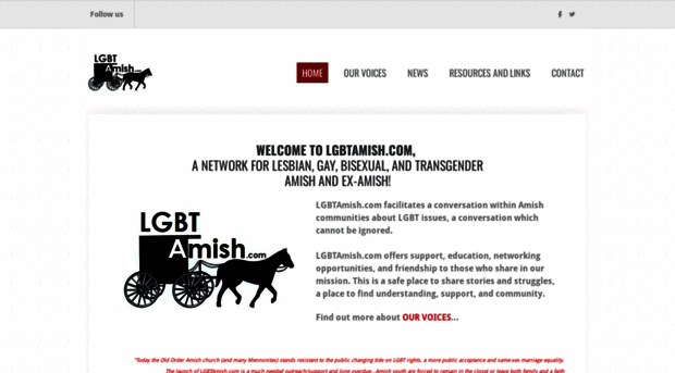 lgbtamish.com