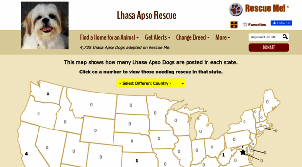 lhasaapso.rescueme.org