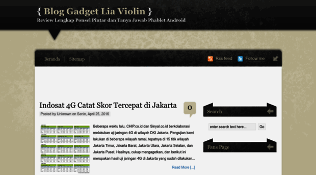 liaviolin.blogspot.com