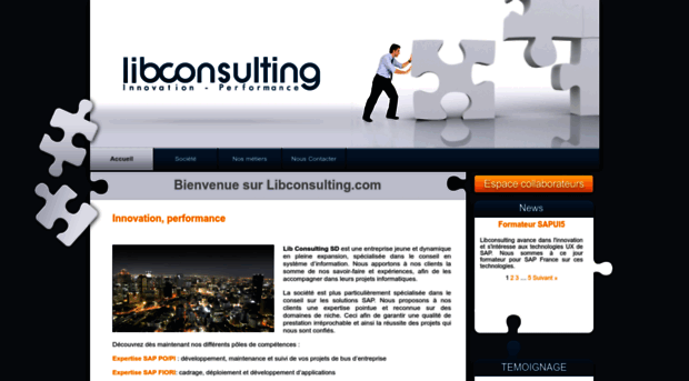 lib-consulting.com