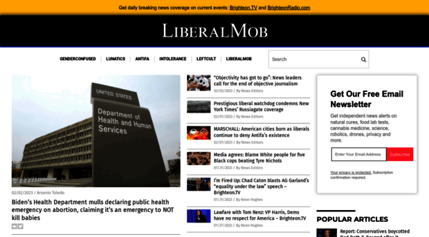 liberalmob.com