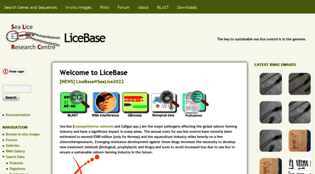 licebase.org