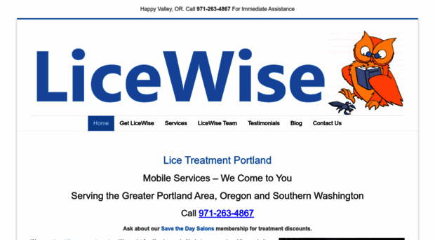 licewise.com