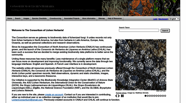 lichenportal.org
