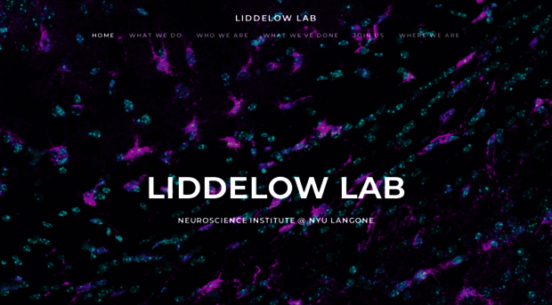 liddelowlab.com