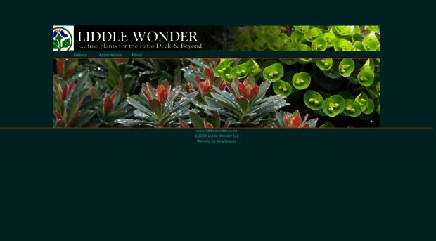 liddlewonder.nz