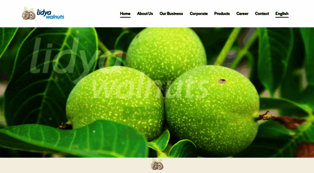 lidyawalnuts.com