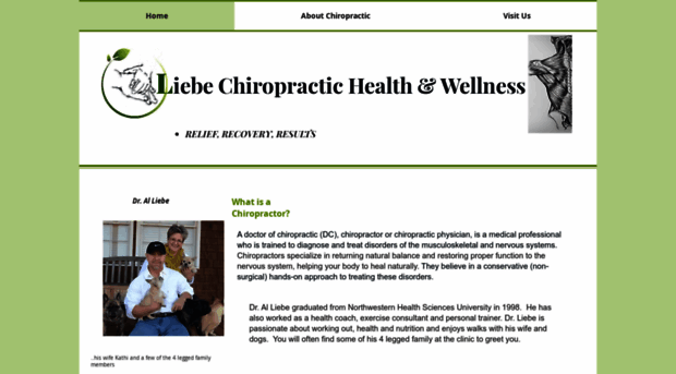 liebechiropractic.com
