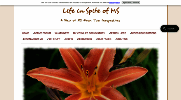 life-in-spite-of-ms.com