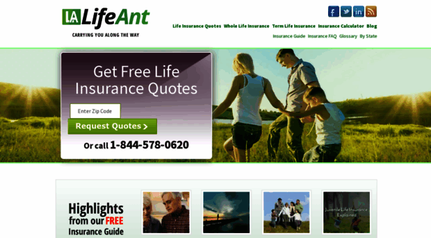 lifeant.com