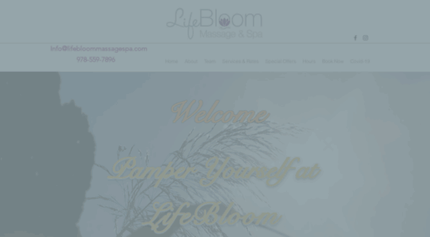 lifebloommassagespa.com