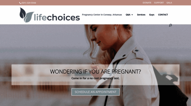 lifechoicesinc.org