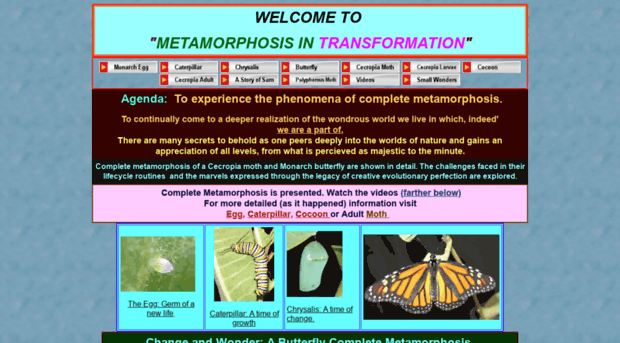 lifecycle.onenessbecomesus.com