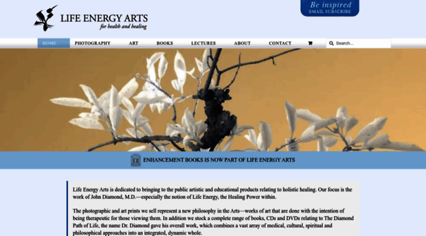 lifeenergyarts.com