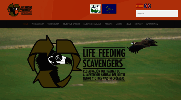 lifefeedingscavengers.com