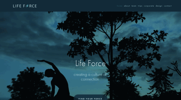 lifeforceproject.com