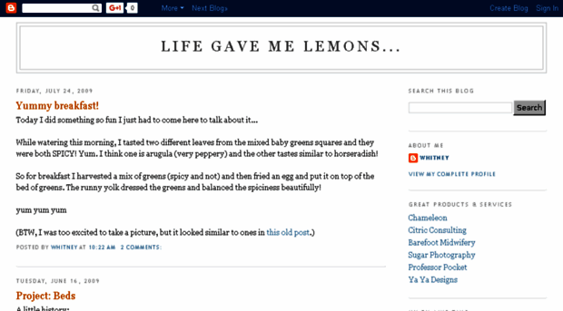 lifegavemelemons.blogspot.com