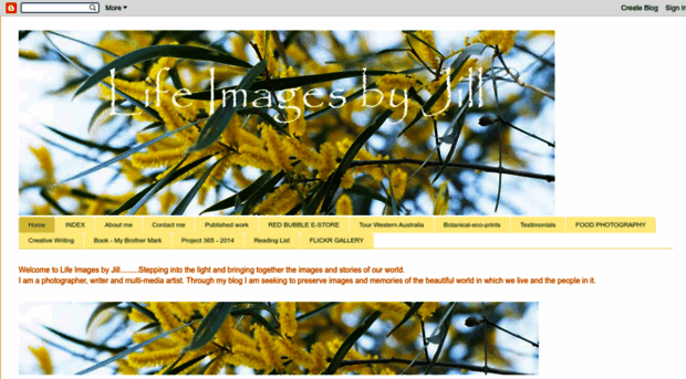 lifeimagesbyjill.blogspot.com.au