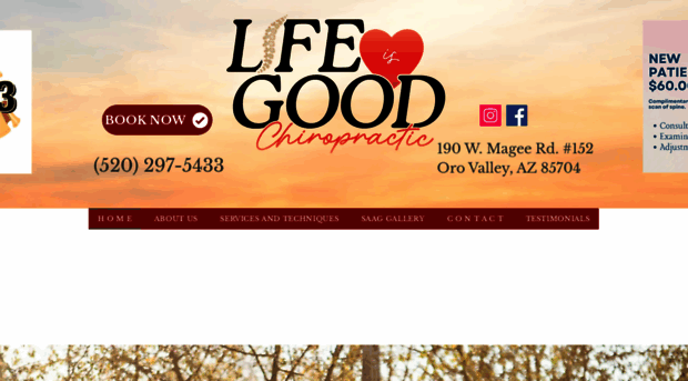 lifeisgoodchiro.com