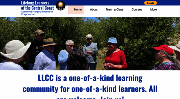 lifelearnerscc.org