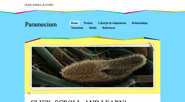 lifeofparamecium.weebly.com