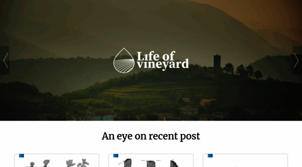 lifeofvineyard.com