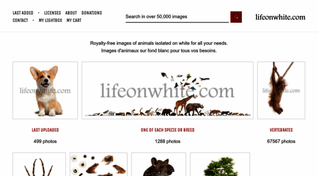 lifeonwhite.com