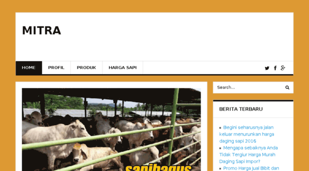 lifestyle.beritapalingbaru.com