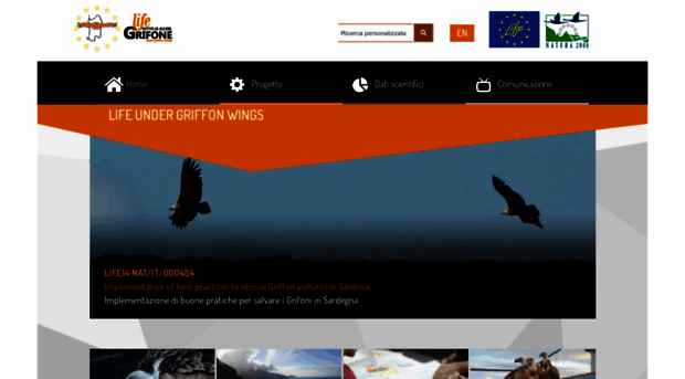 lifeundergriffonwings.eu