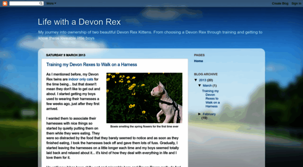 lifewithadevonrex.blogspot.com