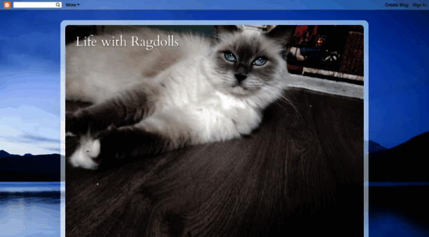 lifewithragdolls.blogspot.com