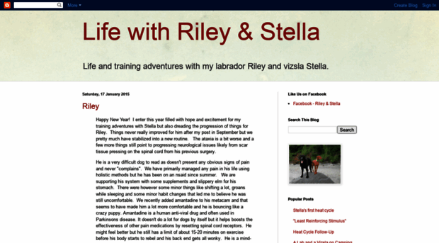 lifewithrileystella.blogspot.com