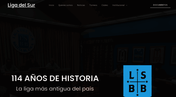 ligadelsur.com.ar