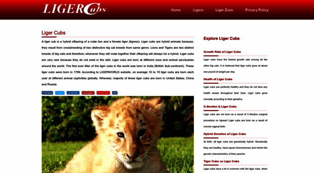 ligercubs.com