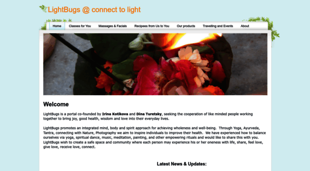 lightbugsconnect.weebly.com