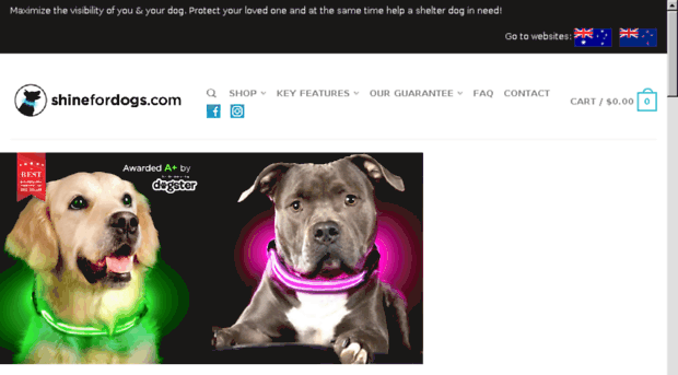 lightfordogs.com