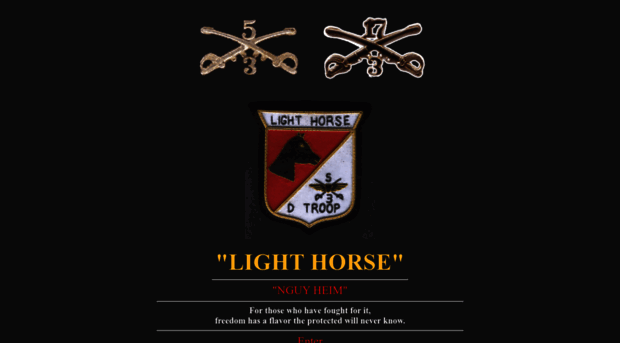 lighthorseaircav.com