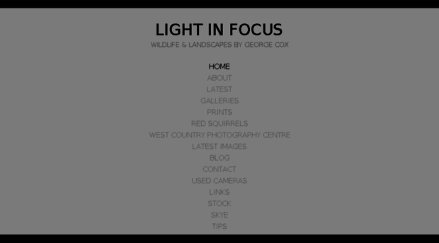 lightinfocus.co.uk