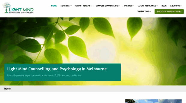 lightmindcounselling.com.au