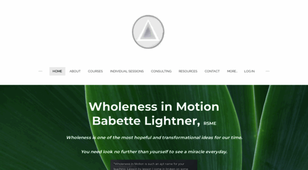 lightnermethod.com